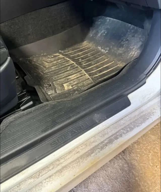 Avant nettoyage : tapis avant